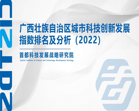 鉴黄师簧片软件【成果发布】广西壮族自治区城市科技创新发展指数排名及分析（2022）